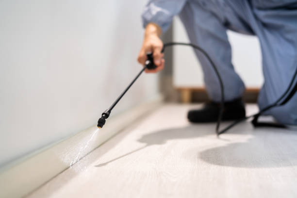 Bed Bug Pre-Treatment Preparation Assessment in Riverview